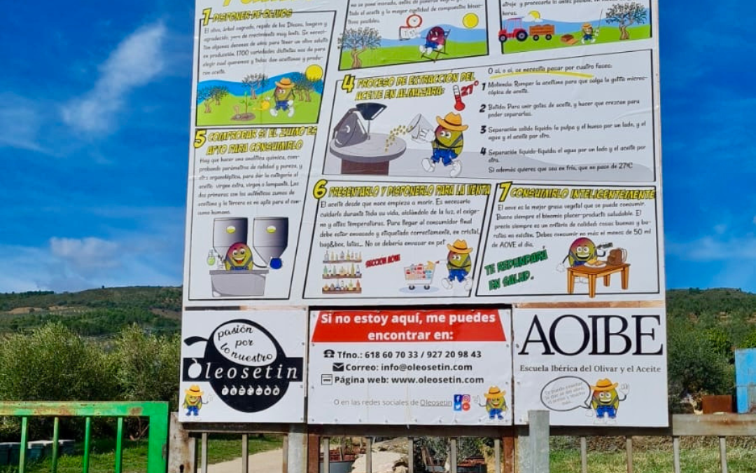 La experiencia de elaborar tu propio aceite